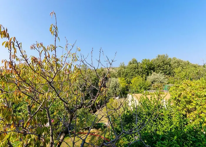 Ruza A * ロパール